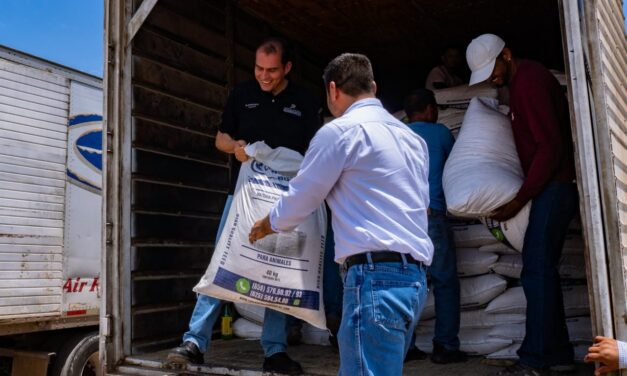 Entregan 67 toneladas de Maíz Rolado a productores de Meoqui