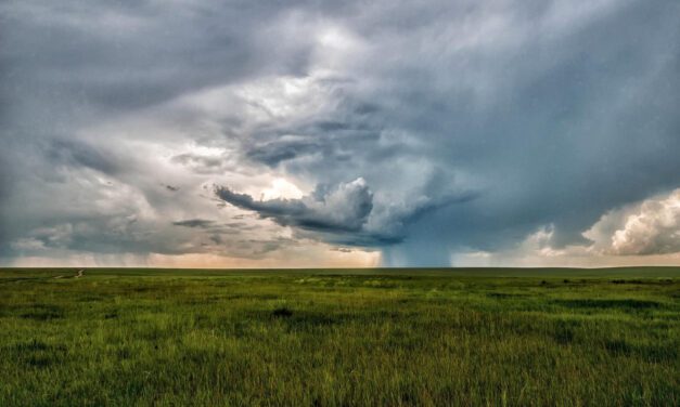Benefician lluvias a más de 400 mil hectáreas de cultivos de temporal en Chihuahua