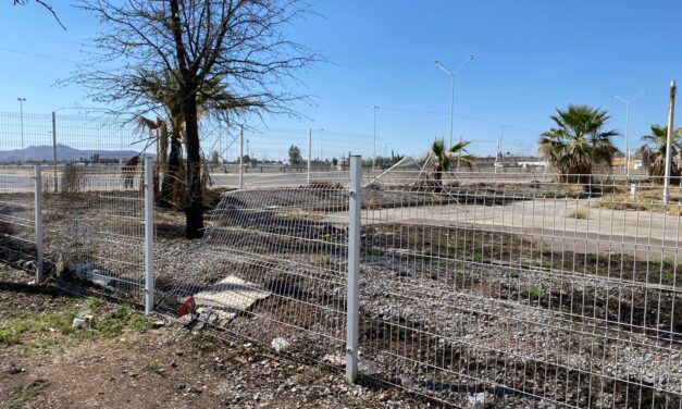 Denuncian abandono de la alberca de Ávalos