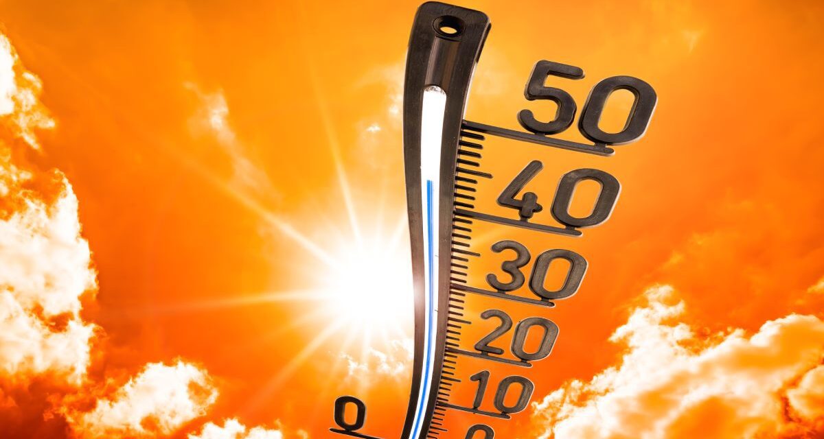 Cómo afecta el calor al cerebro