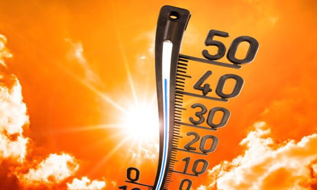 Cómo afecta el calor al cerebro