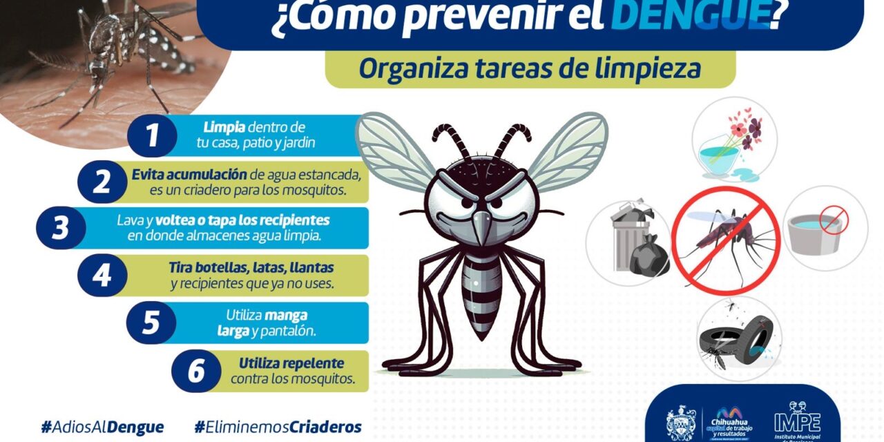 Previene dengue, zika o chikungunya con estas recomendaciones
