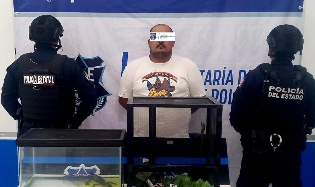 Arresta SSPE a sujeto por posesión ilegal de fauna exótica en Juárez