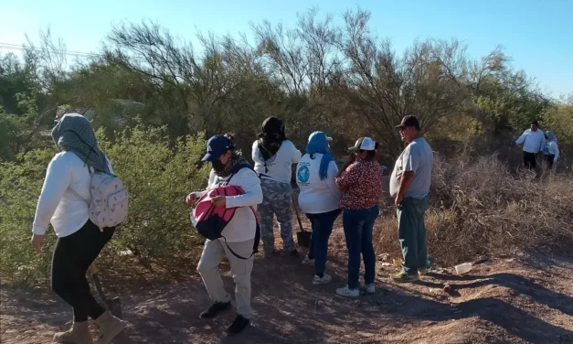 Hallan asesinadas a tres niñas y su madre en Sonora