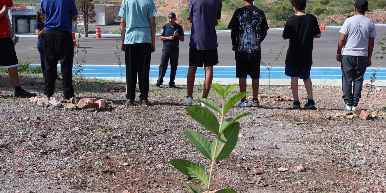 Jóvenes con problemas de conducta plantan árboles en el ISSCUU