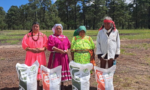 Registran avance del 56% en entrega de fertilizantes