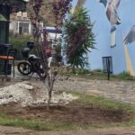 Intensifica Gobierno de Parral el embellecimiento de espacios públicos