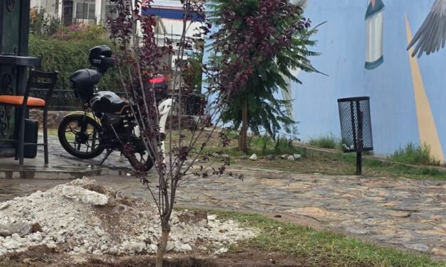 Intensifica Gobierno de Parral el embellecimiento de espacios públicos