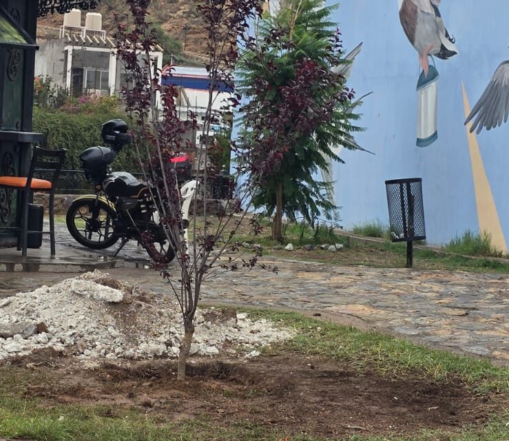 Intensifica Gobierno de Parral el embellecimiento de espacios públicos