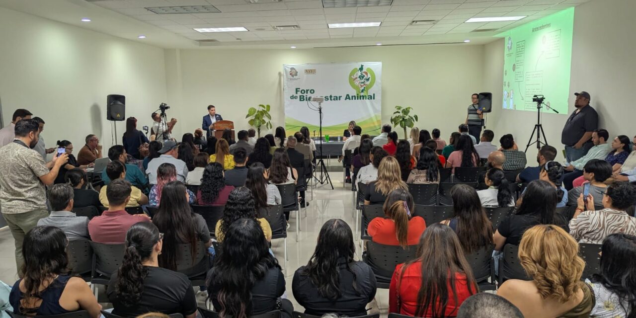 Congreso y sociedad organizada, analizan iniciativas sobre bienestar animal