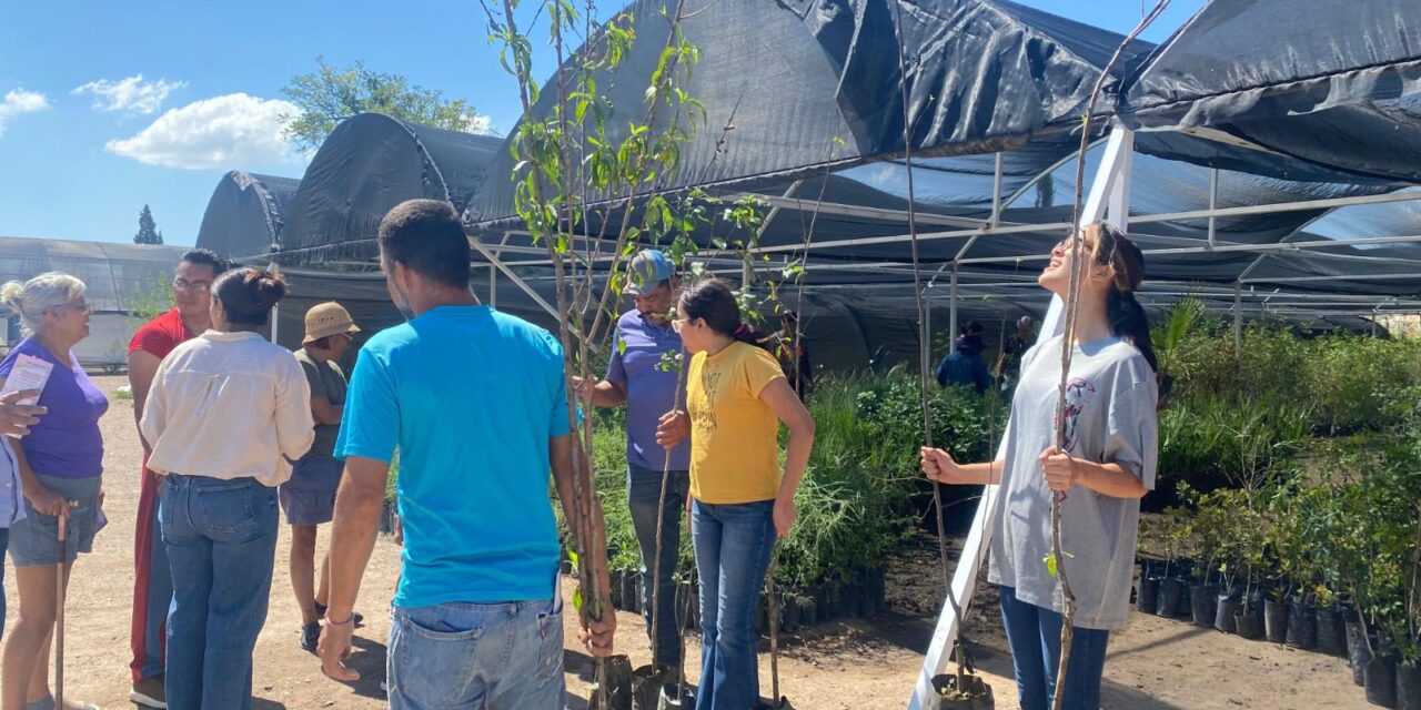 DONA GOBIERNO UN MILLÓN Y MEDIO DE ÁRBOLES PARA FORESTAR Y REFORESTAR TODA LA ENTIDAD