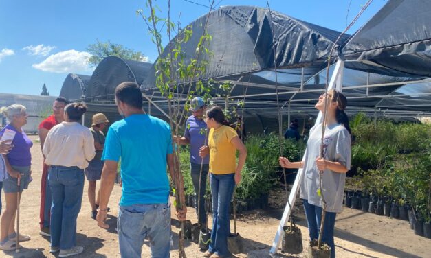 DONA GOBIERNO UN MILLÓN Y MEDIO DE ÁRBOLES PARA FORESTAR Y REFORESTAR TODA LA ENTIDAD