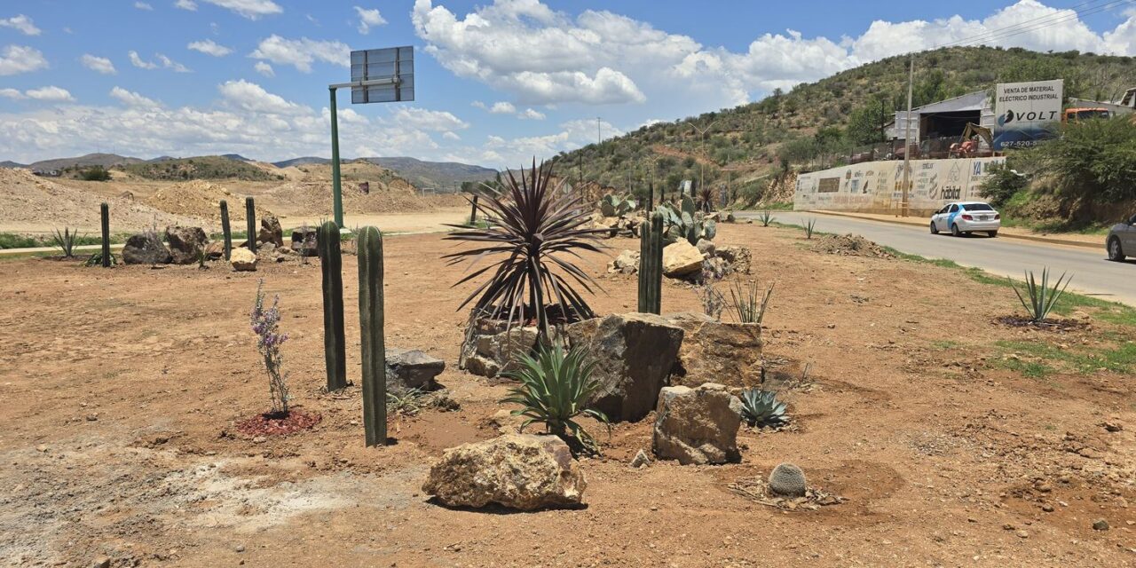 Parral impulsa la sustentabilidad con nuevo jardín xerófilo en la Puerta del Tiempo
