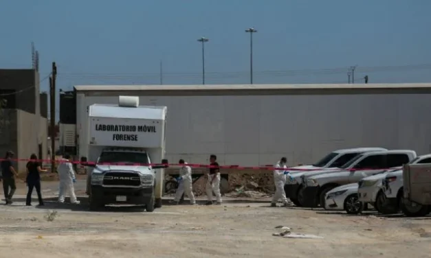 ONU-DH condena hallazgo de 383 cuerpos en un crematorio; urge «investigación eficaz»