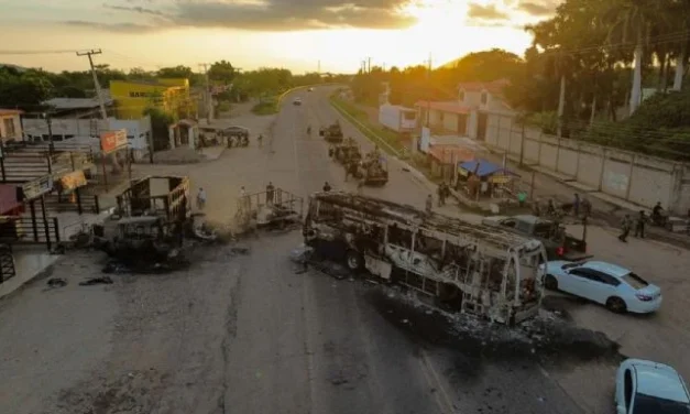 A Sinaloa le tomará entre 5 y 10 años recuperarse de la guerra entre Mayos y Chapitos: experta