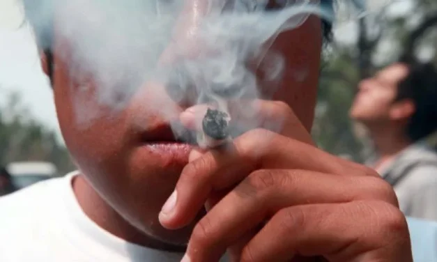 Secretaría de Salud inicia Encuesta Nacional de Consumo de Drogas, Alcohol y Tabaco 2025