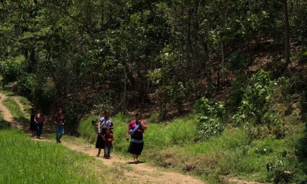 Violencia desplaza a indígenas de ocho comunidades de la sierra de Chihuahua