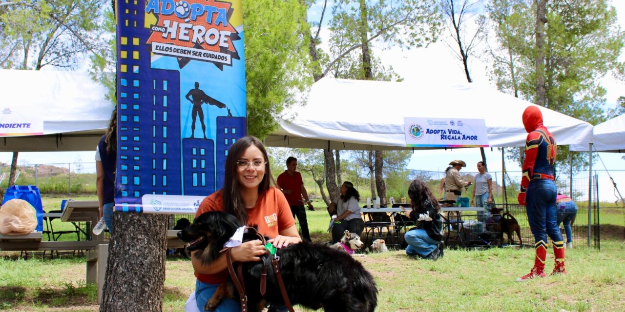 Encuentra hogar perrito Valentín