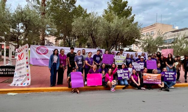 Lamentable que Congreso se niegue a legislar Violencia Vicaria: PT