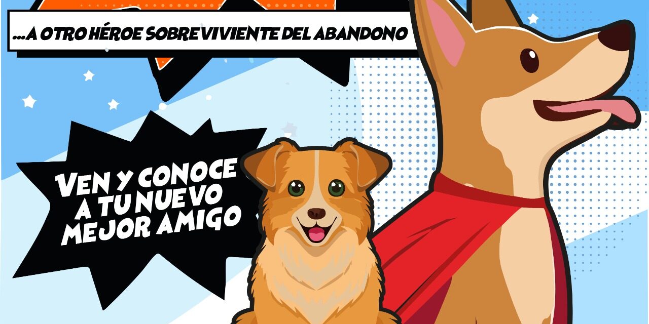 Invitan a programa “Adopta como Héroe” en Parque El Reliz