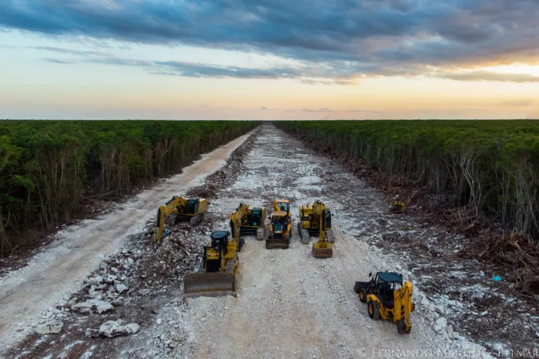 Arrasan 104 hectáreas por terminal del Tren Maya de carga en Progreso
