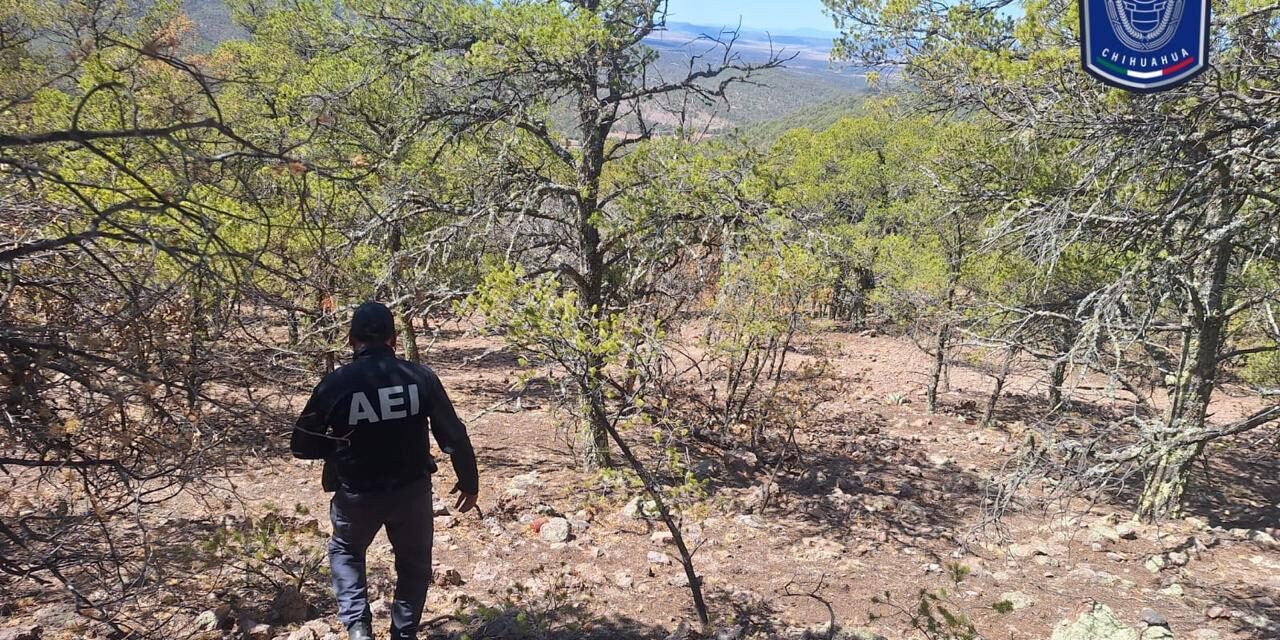 Identifican a dos cuerpos masculinos que fueron localizados en ‘El Willy’