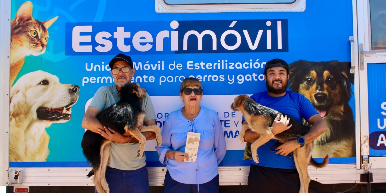Del 15 al 19 de septiembre estará Esterimóvil en centro comunitario Díaz Ordaz