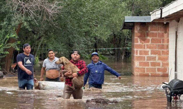 Urgen apoyos federales para atender el destrate natural ocurrido en Colonia Juárez