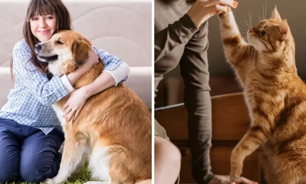 ¿Son más felices las personas que tienen perros que las que tienen gatos? Esto dice la ciencia
