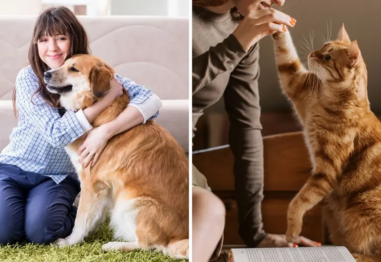 ¿Son más felices las personas que tienen perros que las que tienen gatos? Esto dice la ciencia