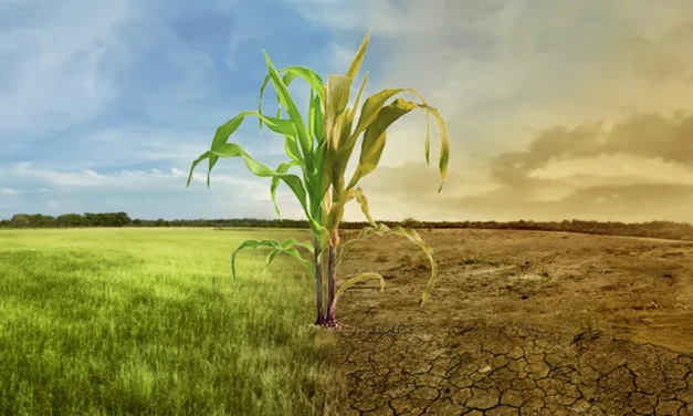 Propone PRI integrar compras verdes en la Ley de Cambio Climático de Chihuahua