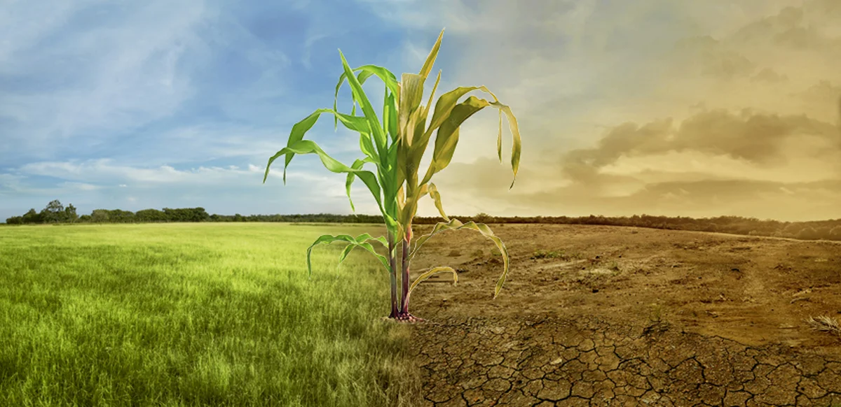Propone PRI integrar compras verdes en la Ley de Cambio Climático de Chihuahua