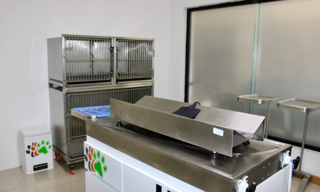 Abren Centro de Esterilización permanente para mascotas