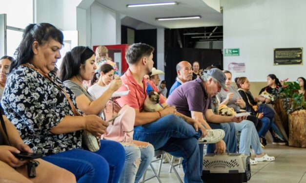 Fortalecen la protección animal con campañas de esterilización en Parral