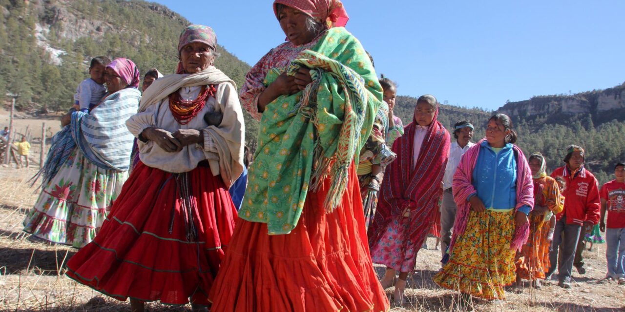 Pide MORENA que la tecnología digital ayude a preservar las lenguas indígenas  