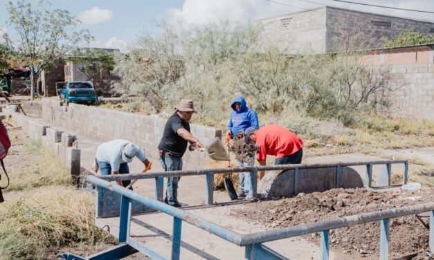 Continúa con limpieza de arroyos y drenes para prevenir inundaciones en Camargo