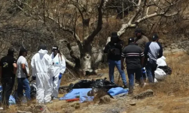 Denuncian entrega irregular de 151 cuerpos a universidades