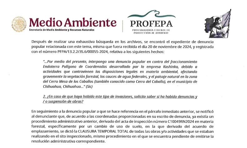 Clausura Profepa obras del Cerro del Caballo; Kashinka, desacata y continúa construcción