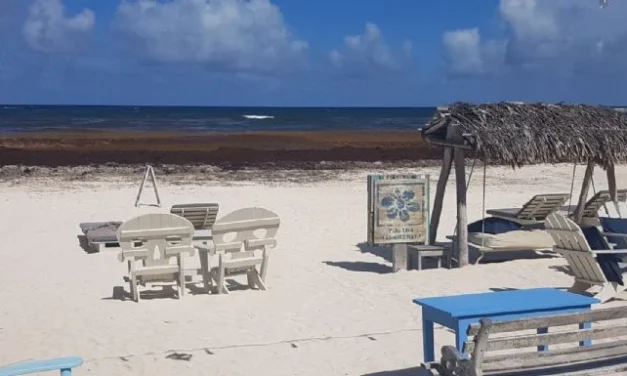 Tulum en 2025: claves de la crisis turística y de servicios que impacta al destino