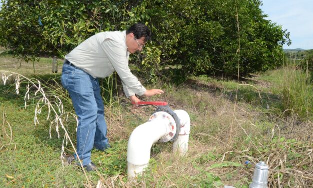 Invita a reinscribirse al PEUA; fecha límite 31 de diciembre de 2025