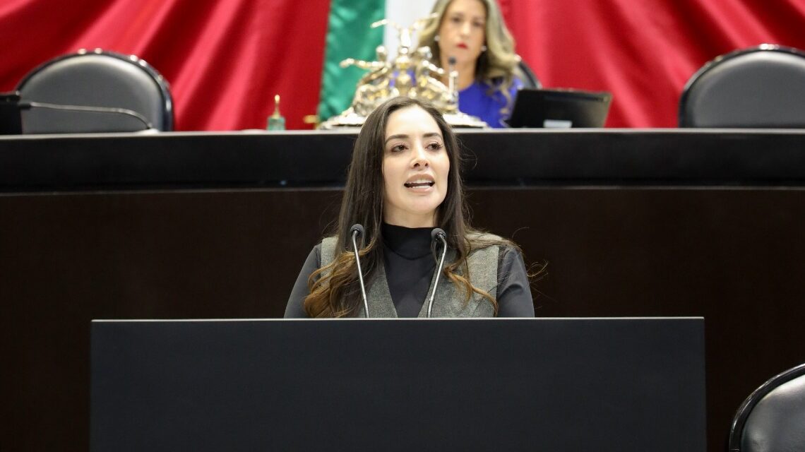 Pide Fuensanta Guerrero a cámara de Diputados etiquetar presupuesto para salud mental