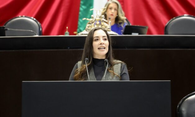 Pide Fuensanta Guerrero a cámara de Diputados etiquetar presupuesto para salud mental