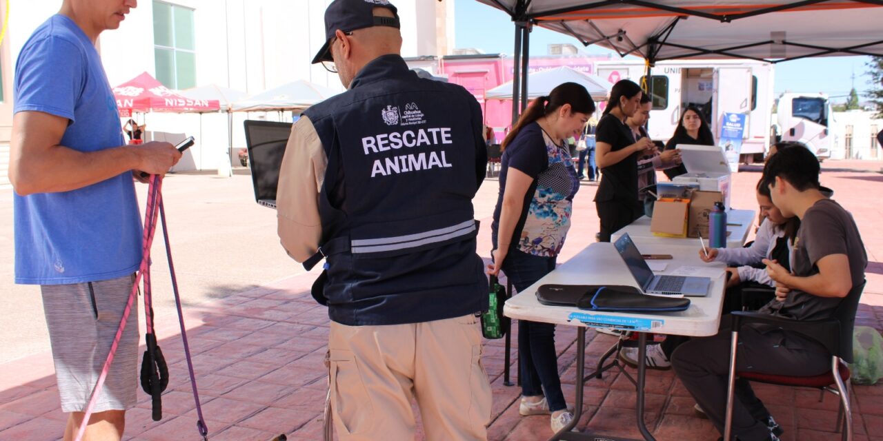 Se bridaron más de 300 servicios gratuitos para mascotas en Wellness Fest 2025