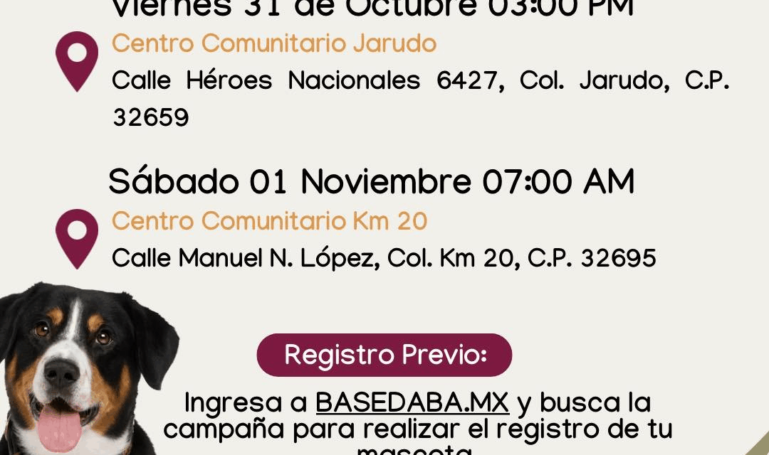 Realizará DABA campaña de esterilización gratuita para mascotas