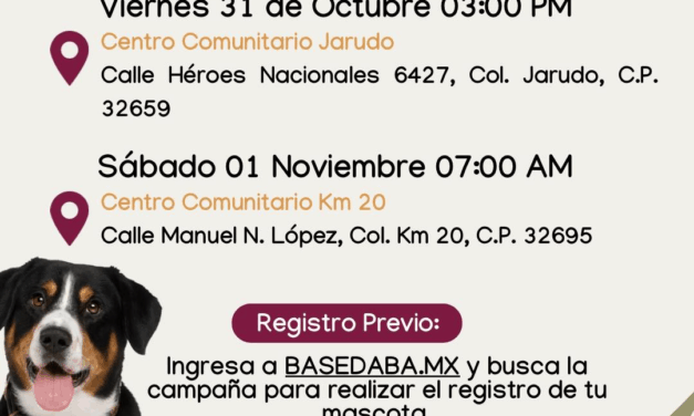 Realizará DABA campaña de esterilización gratuita para mascotas