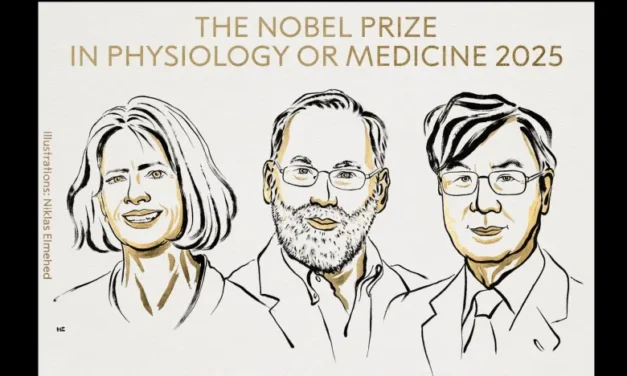 Designan a Nobel de Medicina por investigación del sistema inmune