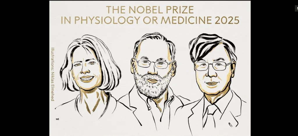 Designan a Nobel de Medicina por investigación del sistema inmune