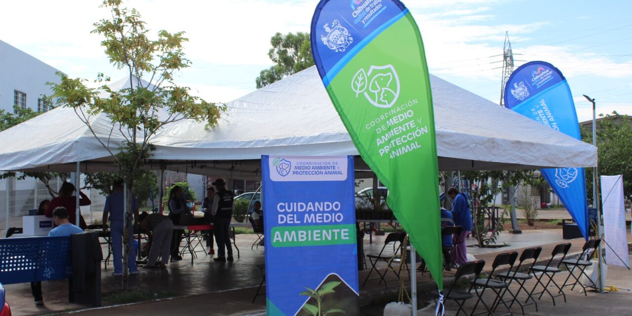 Mañana en colonia Nombre de Dios llegarán los servicios de salud para mascotas