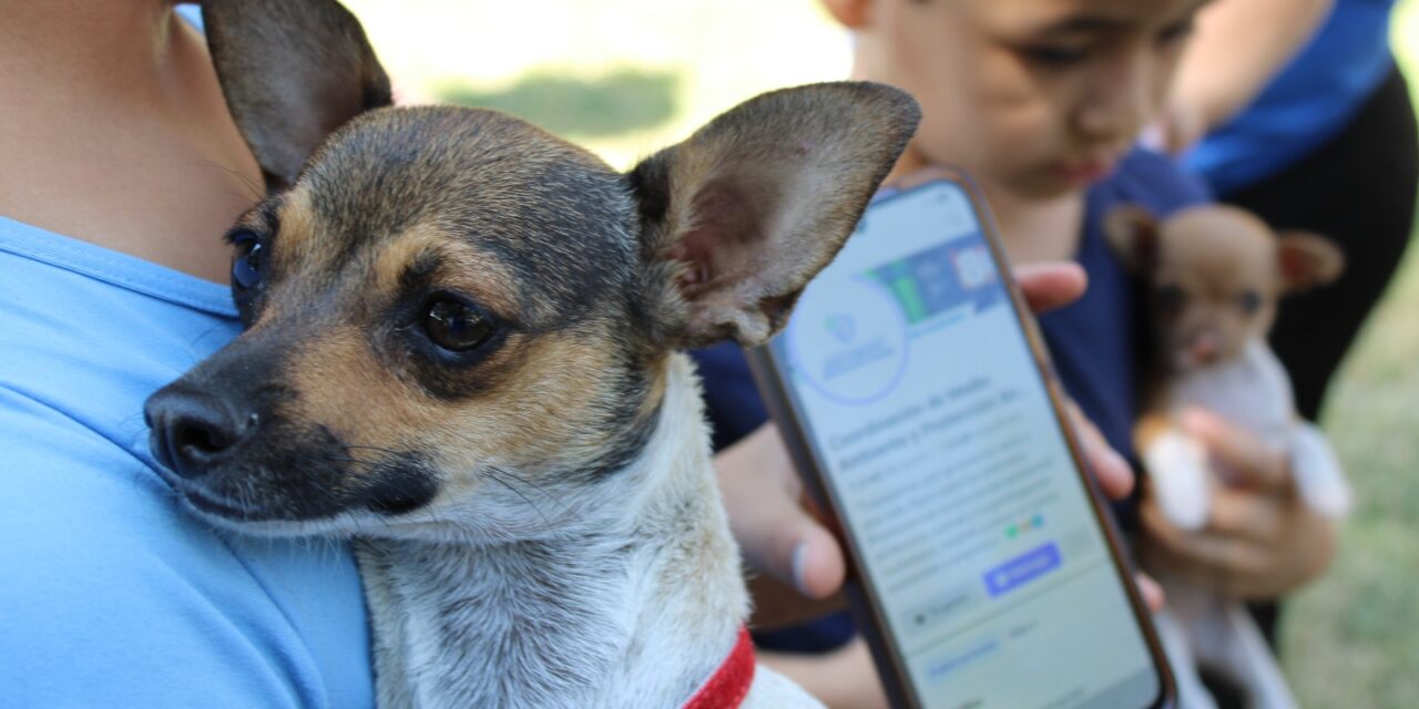 Brindaran servicios gratuitos para mascotas en Punta Oriente