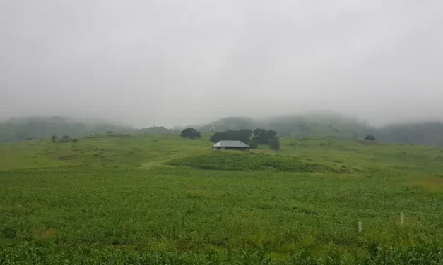 Prevén ingreso de primera tormenta invernal de la temporada este fin de semana